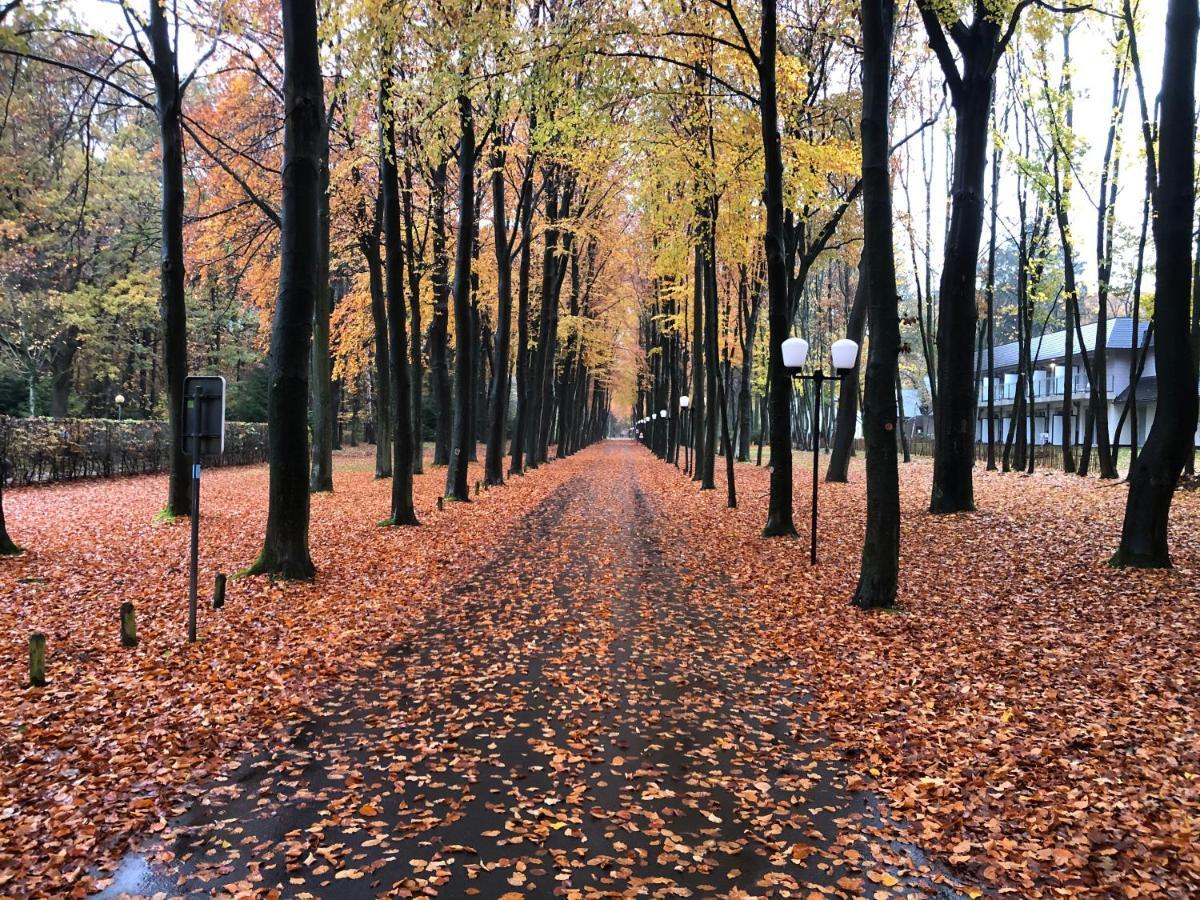 Vakantie-Hengelhoef Aan de Wolfsberg エクステリア 写真